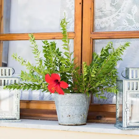 Myrtia Vacation Ferienhaus Kyra Panagia